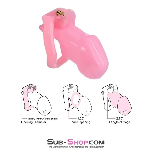 0396AE BOGO! Sissy Bitch High Security Keyed Tumbler Locking Male Chastity with 4 Base Cock Ring Sizes