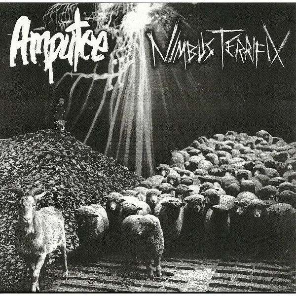 Amputee / Nimbus Terrifix: Split 7″