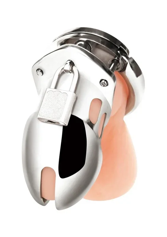 Blue Line Cock Humiliation Chastity Cage Small 2.75in – Stainless