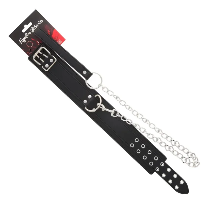COLLAR BLACK PVC DOUBLE BUCKLE W/LEASH