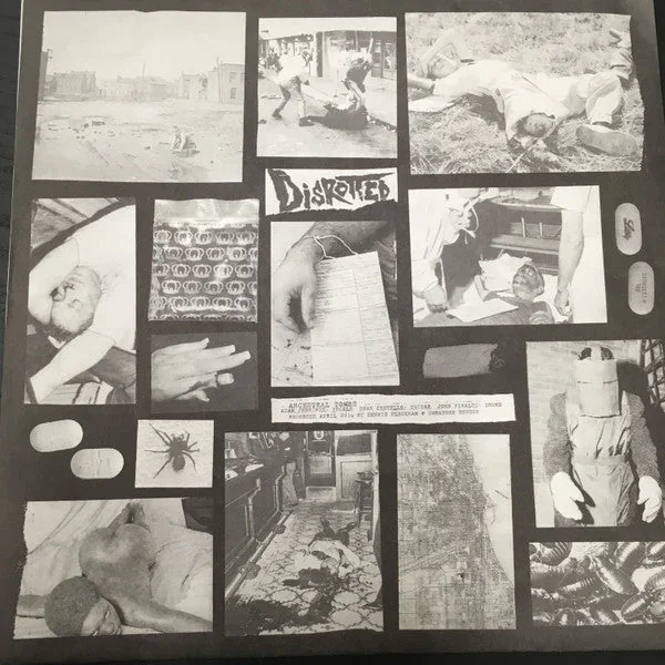 Disrotted / Bogrot: Split 7″