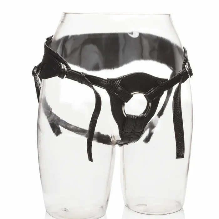 Her Royal Universal Harness – the Queen