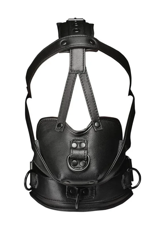 Master Series Leather Head Harness