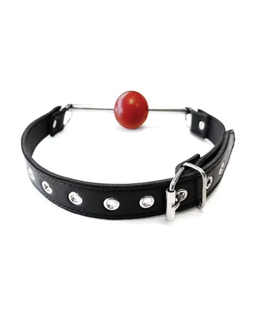 Rouge Leather Ball Gag with Stainless Steel Rod and Removable Ball – Black with Red