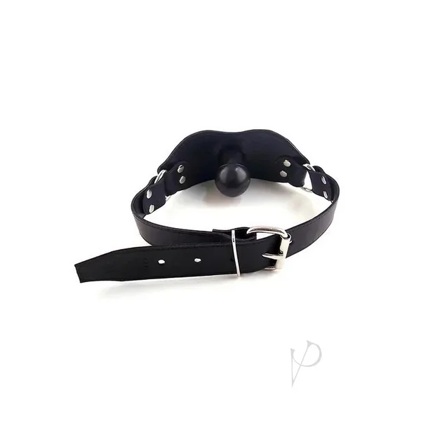 Rouge Strap On Leather Gag W/dick