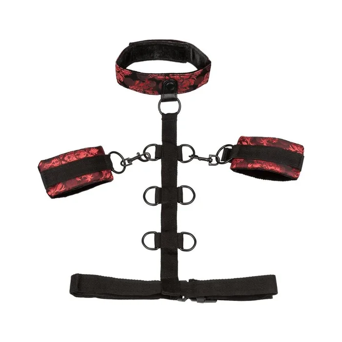 Scandal Collar Body Restraint – Red
