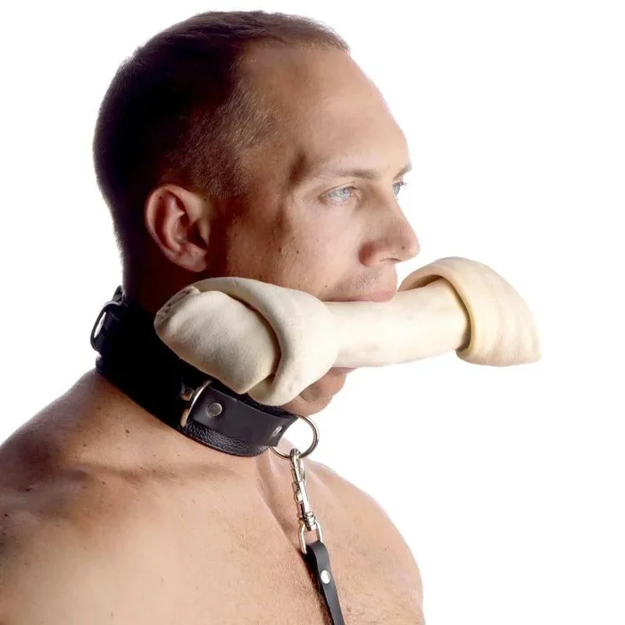 Sick Puppy Leash and Collar Kit