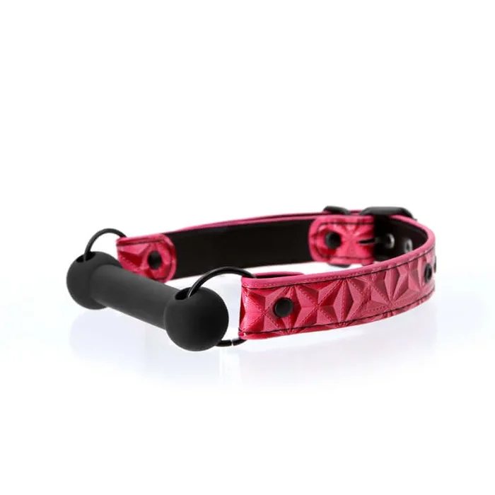 Sinful Silicone Bar Gag: Set Your Desires Free in Pink!