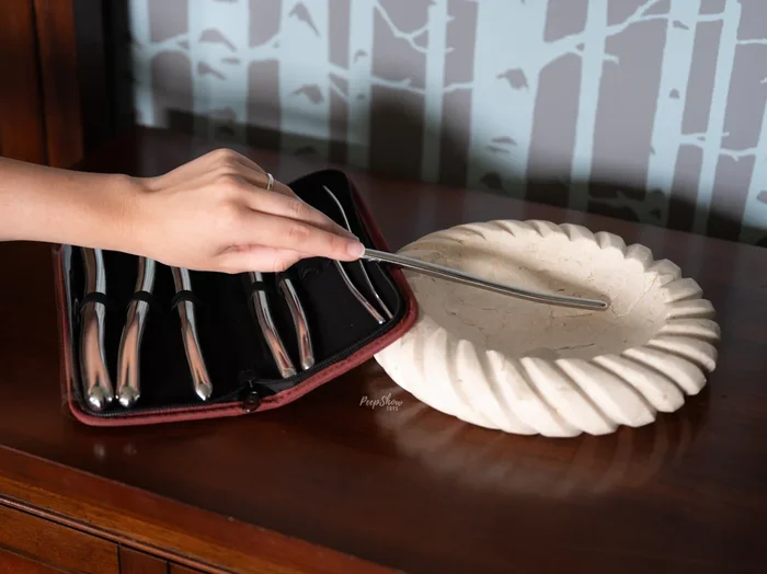 Stainless Steel Hegar Dilator – 8-Pack Urethral Sounds with Storage Case