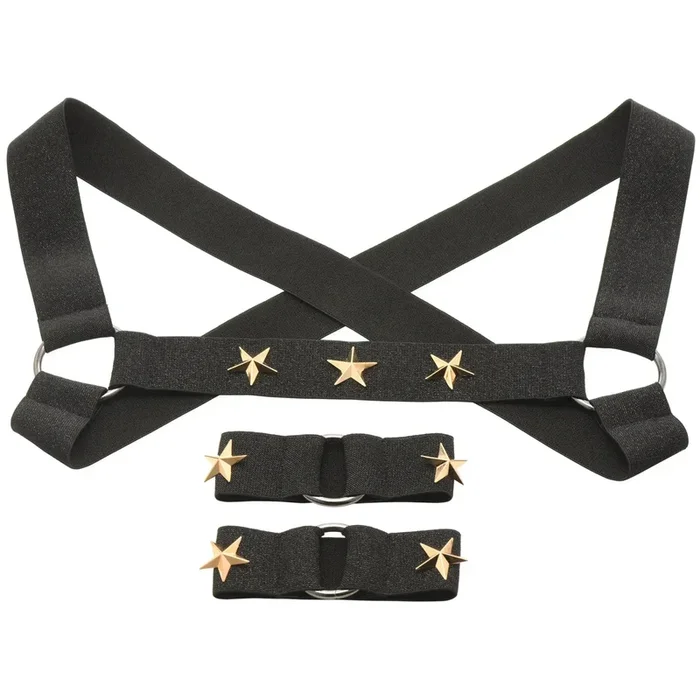 Star Boy Male Chest Harness With Arm Bands – Small/medium – Black