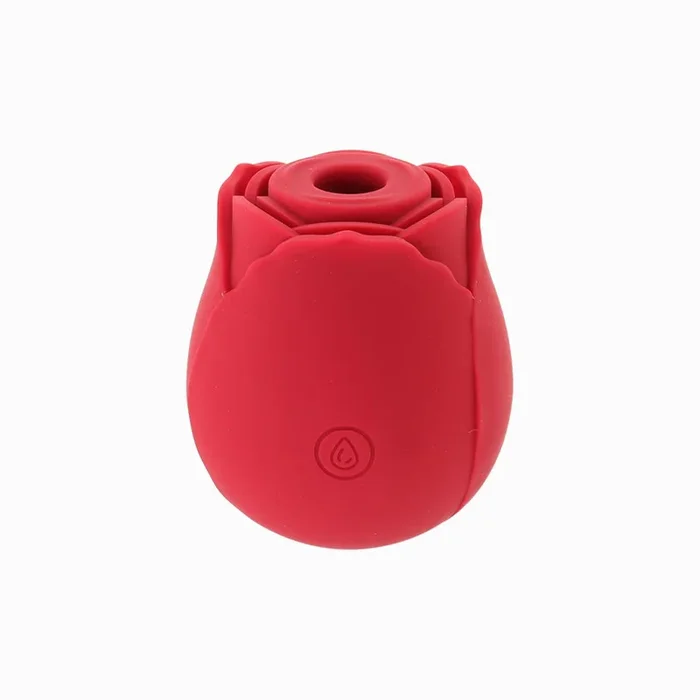 The Rose Air Pulse Vibrator