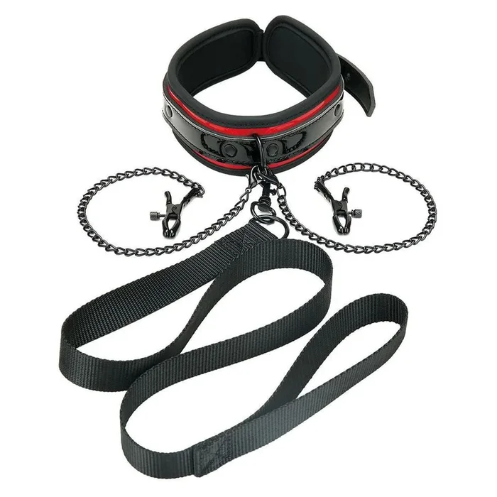 Whipsmart Heartbreaker Collar and Leash Set